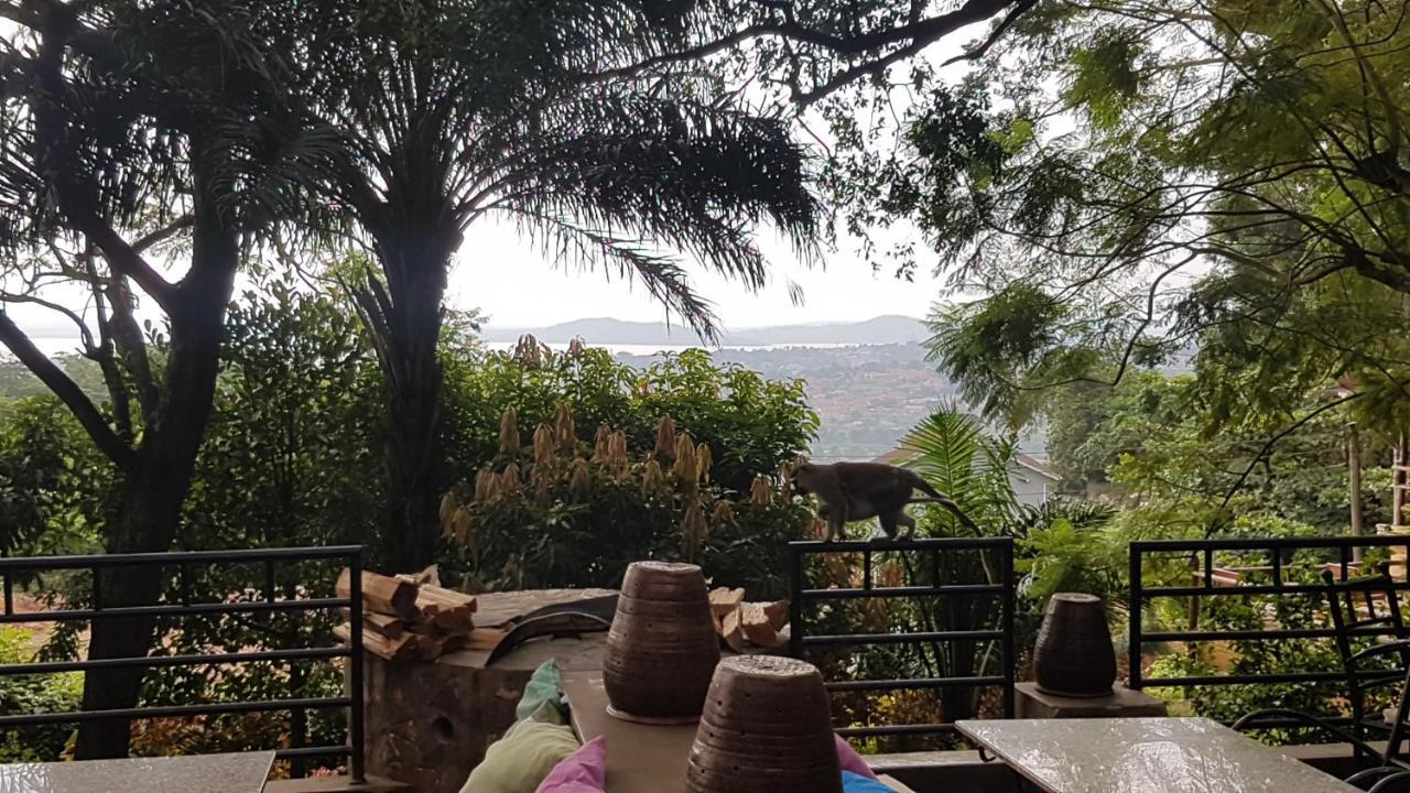 Kampala Forest Resort - Kfr Lodge Ngoại thất bức ảnh