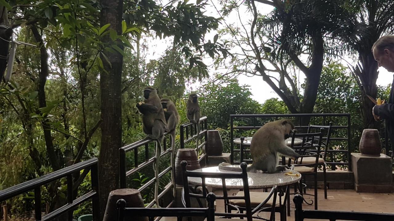 Kampala Forest Resort - Kfr Lodge Ngoại thất bức ảnh